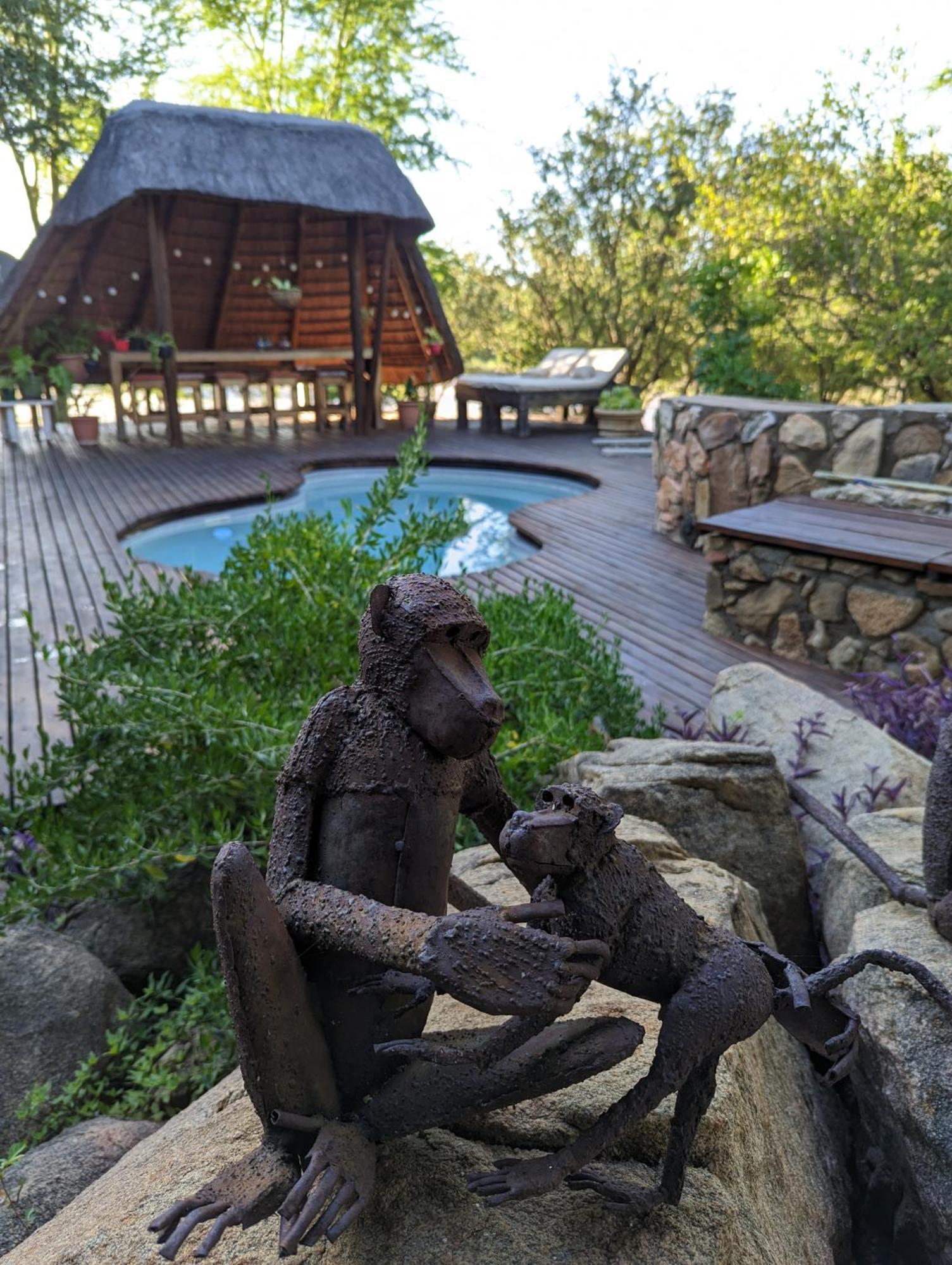 Hasekamp Family Bush Lodge Hoedspruit Εξωτερικό φωτογραφία