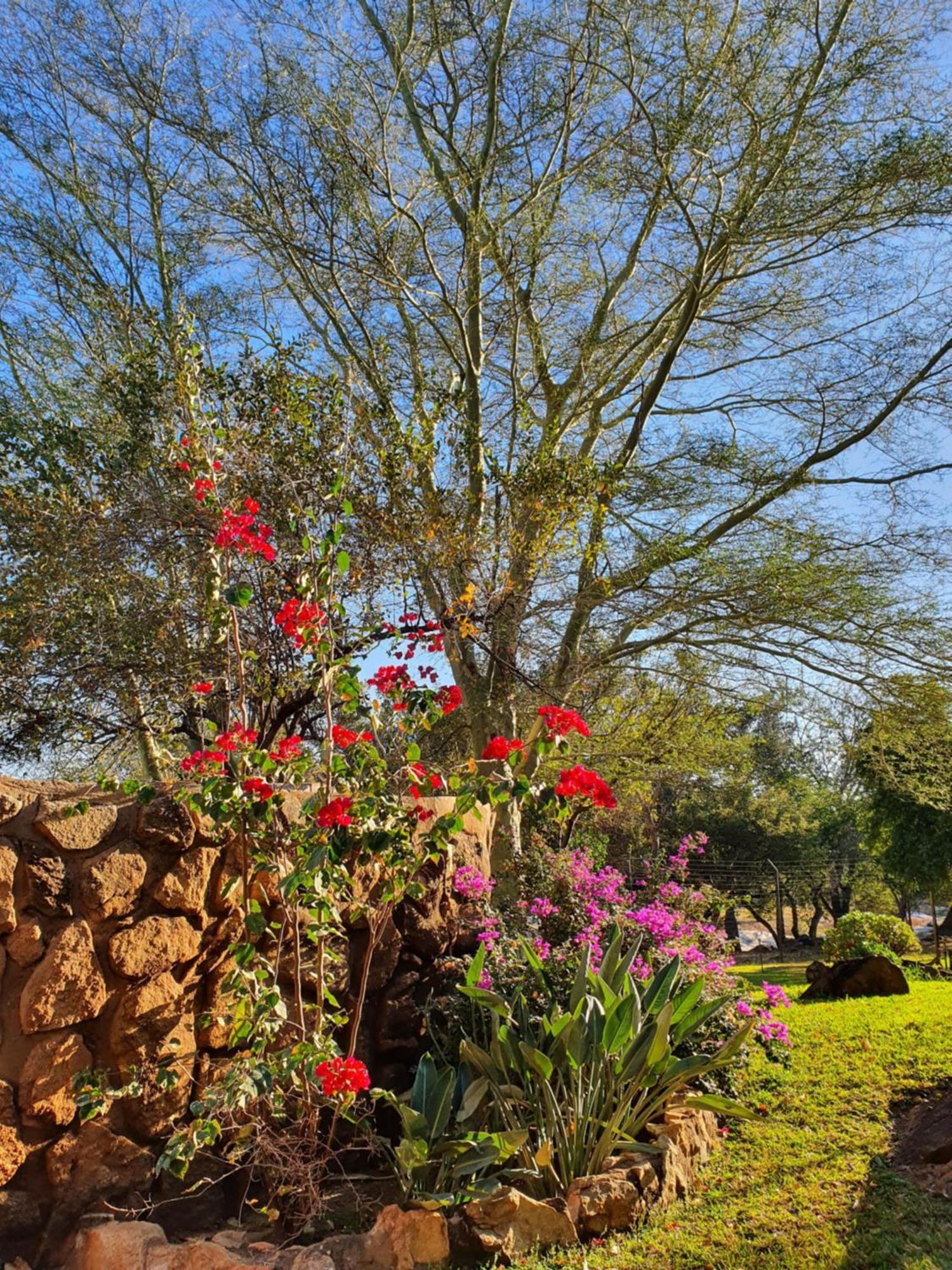 Hasekamp Family Bush Lodge Hoedspruit Εξωτερικό φωτογραφία