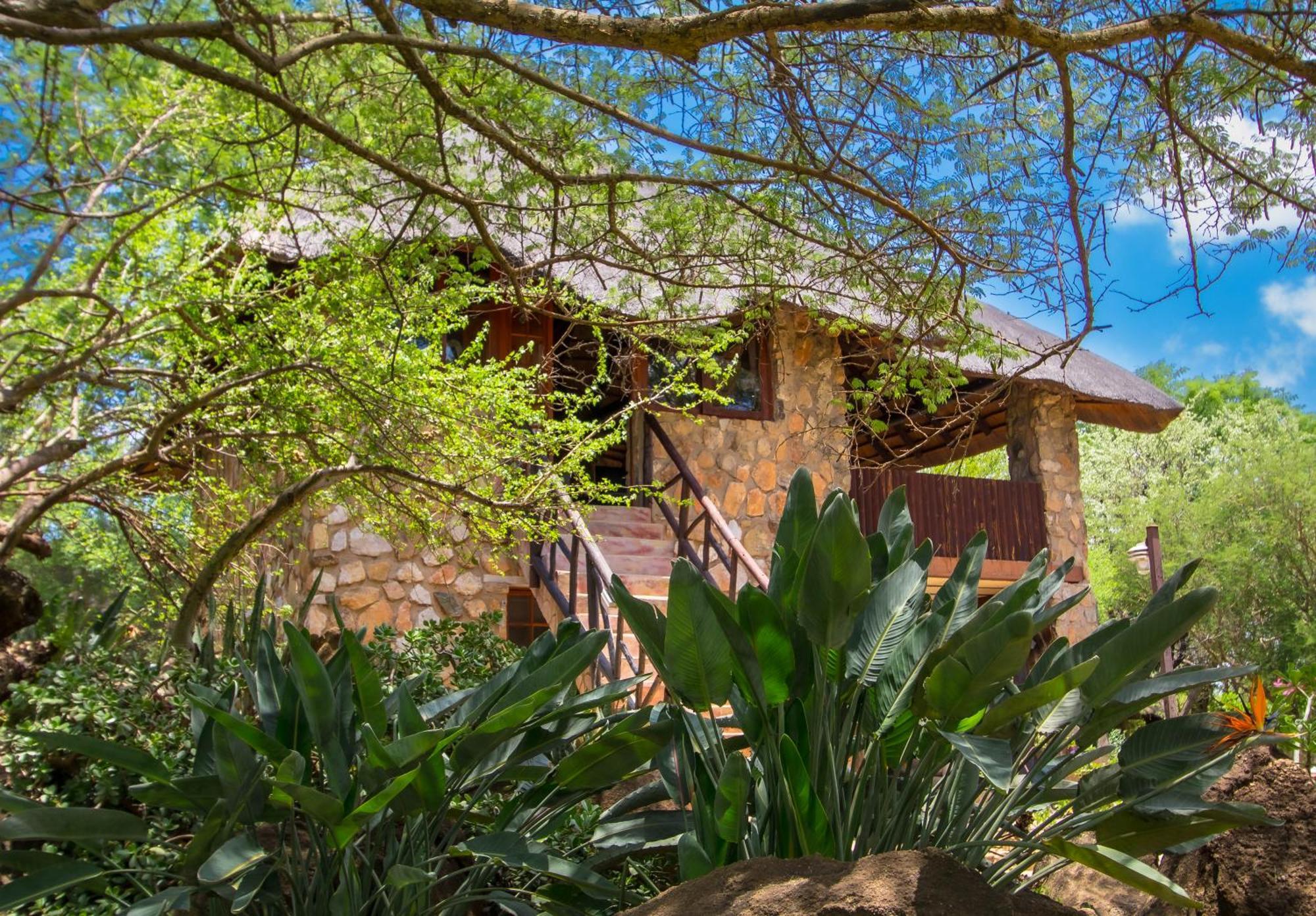 Hasekamp Family Bush Lodge Hoedspruit Εξωτερικό φωτογραφία