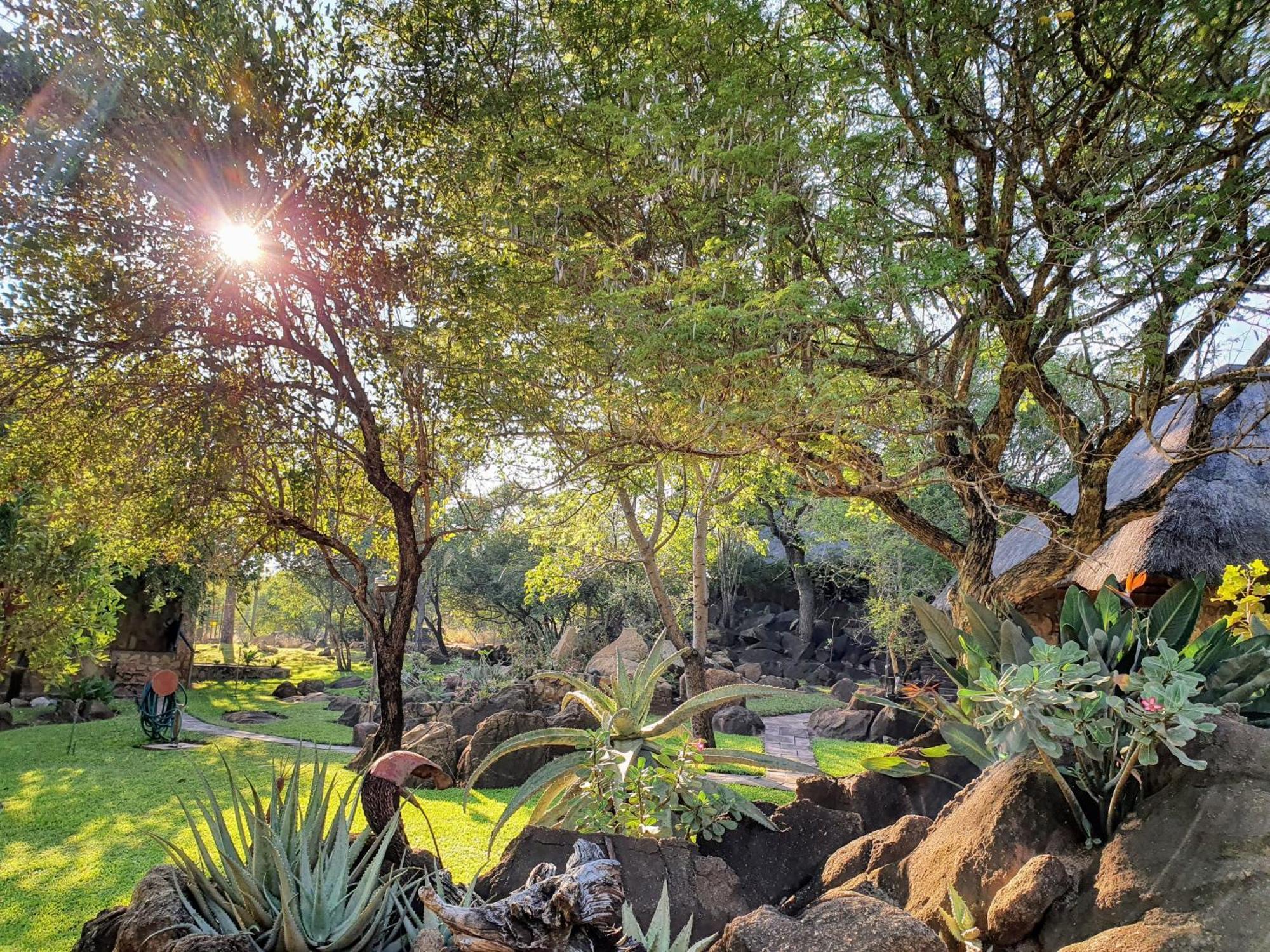 Hasekamp Family Bush Lodge Hoedspruit Εξωτερικό φωτογραφία