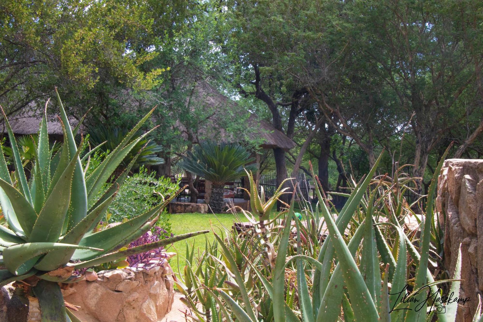 Hasekamp Family Bush Lodge Hoedspruit Εξωτερικό φωτογραφία