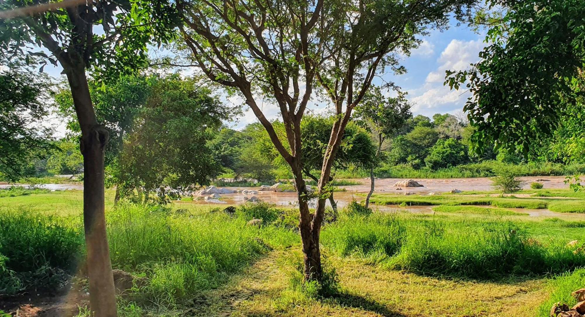 Hasekamp Family Bush Lodge Hoedspruit Εξωτερικό φωτογραφία