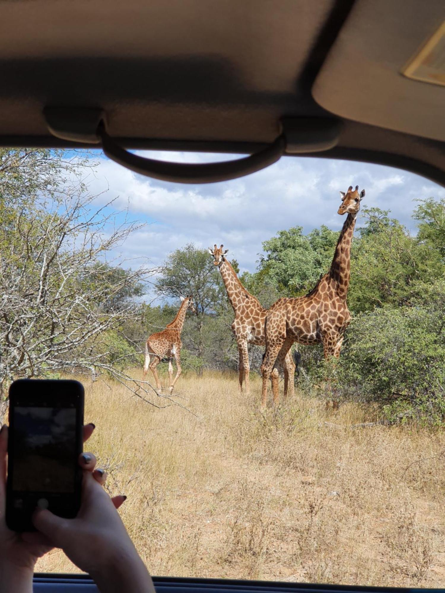 Hasekamp Family Bush Lodge Hoedspruit Εξωτερικό φωτογραφία